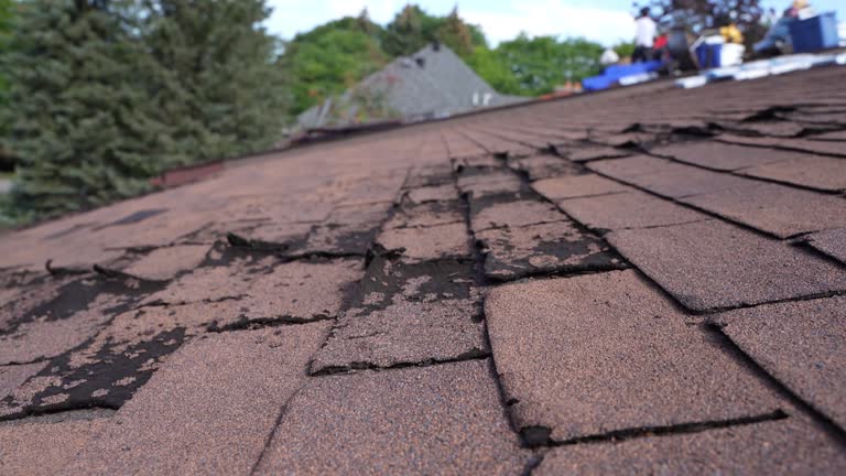 Best Steel Roofing  in Bushnell, IL