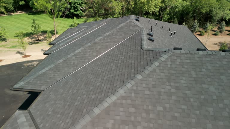 Best Roof Insulation Installation  in Bushnell, IL