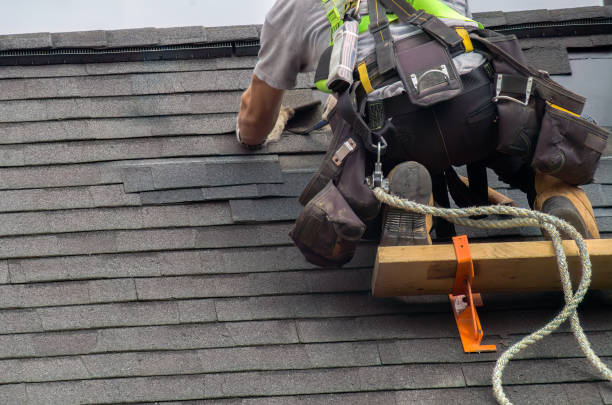 Best Rubber Roofing (EPDM, TPO)  in Bushnell, IL
