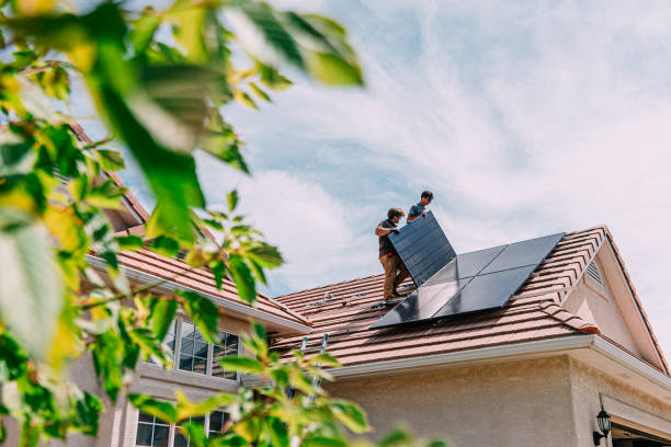 Best Asphalt Shingle Roofing  in Bushnell, IL
