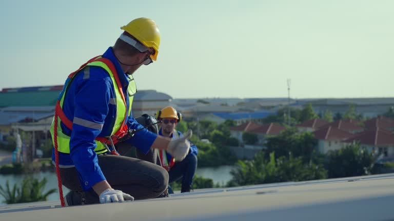 Best Roof Ventilation Installation  in Bushnell, IL