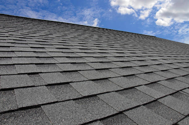 Best Skylight Installation and Repair  in Bushnell, IL